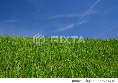 草小山和藍天 草小山和藍天 22985540