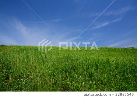草小山和藍天 草小山和藍天 22985546
