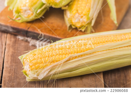 Grains of ripe corn 22986088