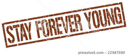 stay forever young brown square rubber stamp stay forever young brown square rubber stamp 22987890
