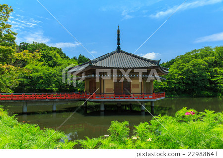 安倍文學診所 22988641