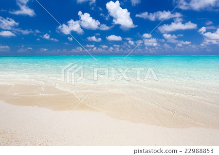 Beautiful ocean beach 22988853