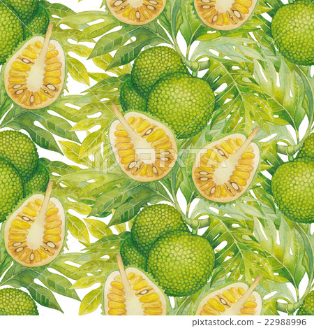 Watercolor breadfruit pattern Watercolor breadfruit pattern 22988996