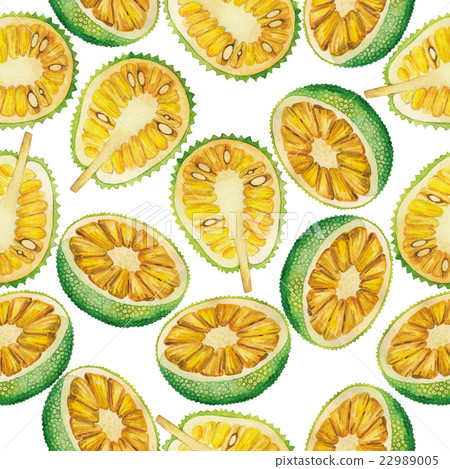 Watercolor breadfruit and jackfruit pattern Watercolor breadfruit and jackfruit pattern 22989005