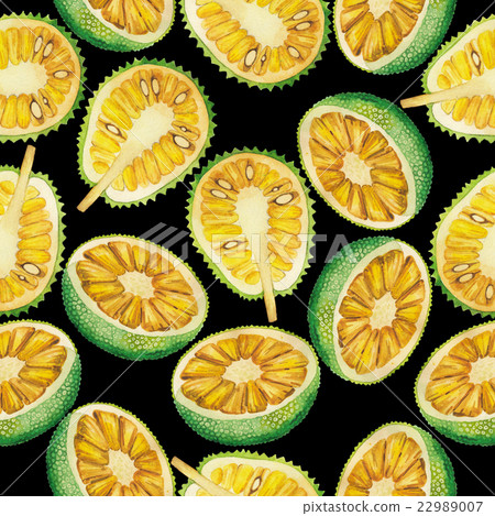 Watercolor breadfruit and jackfruit pattern Watercolor breadfruit and jackfruit pattern 22989007