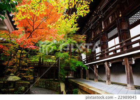 Eikando temple building with fall garden in Kyoto 22989045