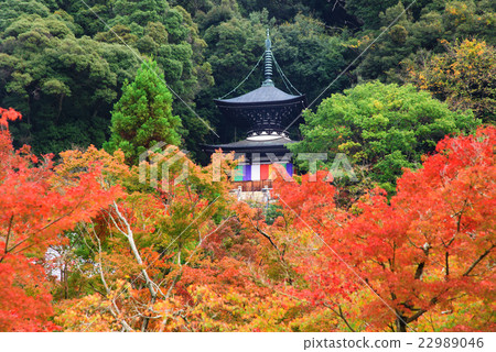 Eikando pagoda with autumn color, Kyoto Eikando pagoda with autumn color, Kyoto 22989046