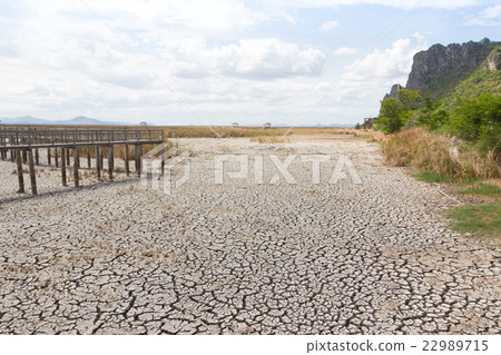 dry earth and cracked ground texture, broken split dry earth and cracked ground texture, broken split 22989715