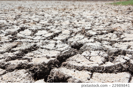 dry earth and cracked ground texture 22989841