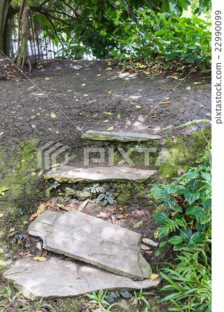 Old stone staircase 22990099