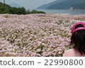 Pink Margaret 22990800