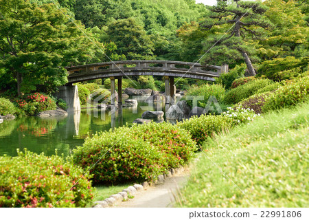 大仙公園日本花園 22991806