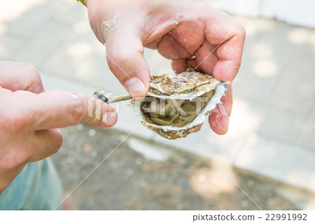 Raw oysters Raw oysters 22991992