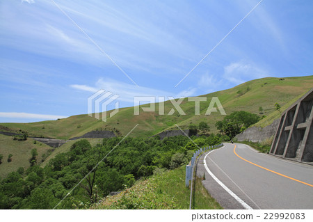 Venus line of early summer 22992083