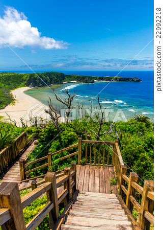View of Cape Hedo from Yambucuina Park 22992218