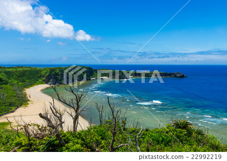 從Yambucuina公園的海角Hedo看法 22992219