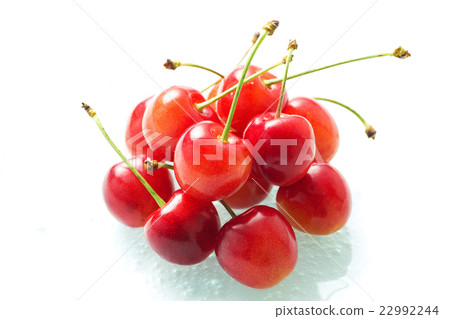 櫻桃4 櫻桃4 22992244