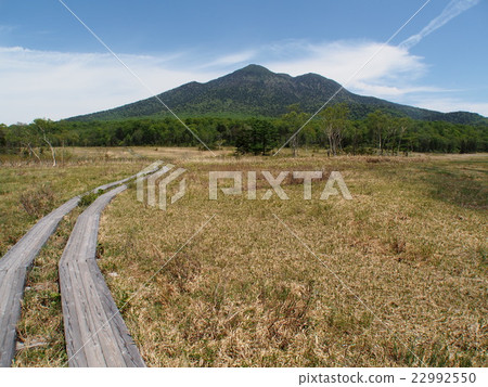 Ozegahara在初夏 22992550