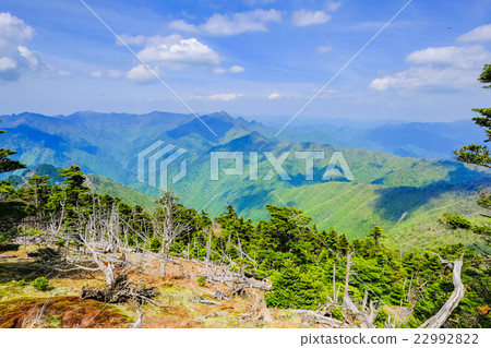 Omine Oku方式2 22992822