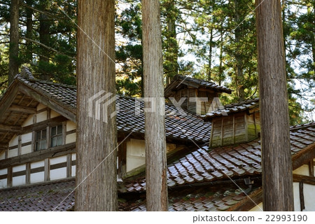 雪松森林圍攏的老家庭屋頂 22993190