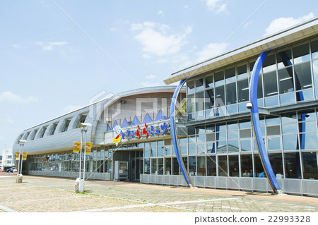 Iwaki · Lal · Miu Iwaki · Lal · Miu 22993328