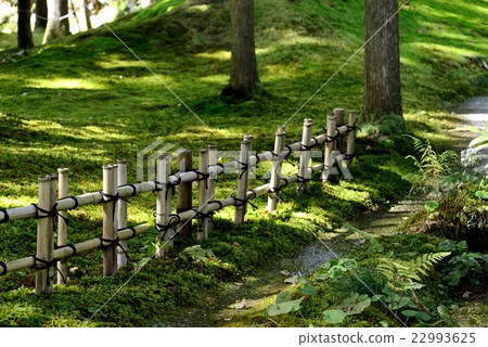 苔蘚小松市的日本庭園“Moss no Sato” 苔蘚小松市的日本庭園“Moss no Sato” 22993625