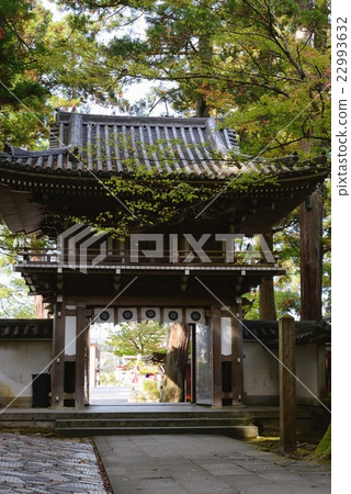 Natanji Monkey Gate 22993632