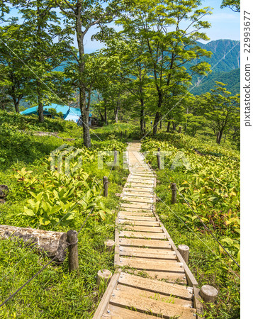 Nishi Tanzawa的樹路和海灣站 22993677