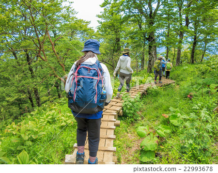 Nishi Tanzawa的樹路和海灣站 22993678