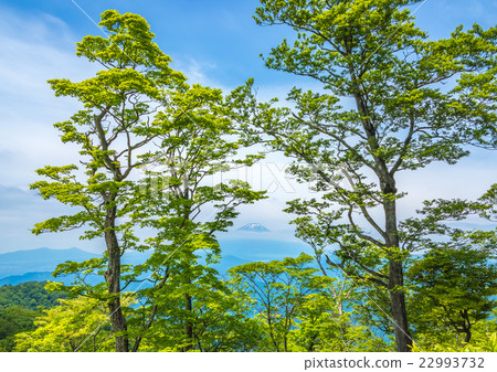 Fuji seen from Nishitanawa 22993732