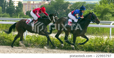 Horse racing 22993797