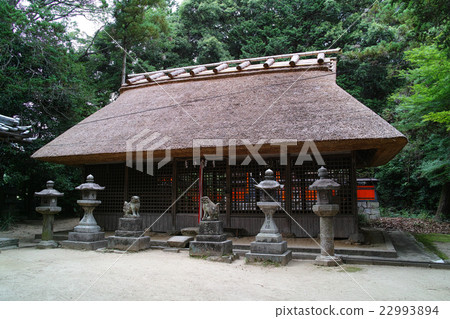Nara · Mountain's side road Yo Town Kagisa Shrine 22993894