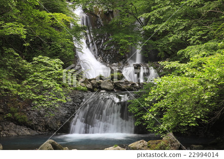 Kiso Otaki hidden forest of early summer Oil trees Miyarumi Komoriba waterfall scenery 22994014