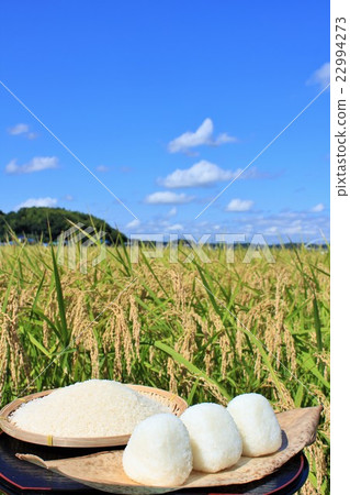 秋天般的田園風光和自製的飯糰 秋天般的田園風光和自製的飯糰 22994273