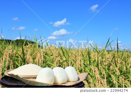 秋天般的田園風光和自製的飯糰 22994274