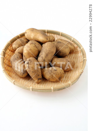 新土豆 22994278