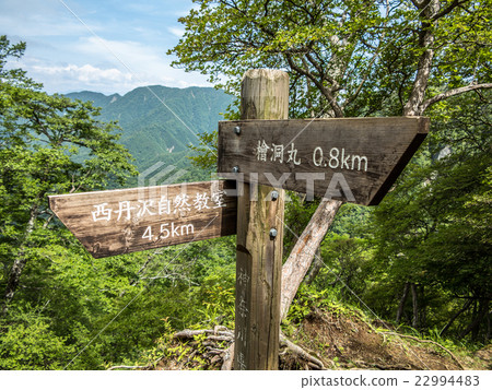 Nishitanawa Nishitanawa 22994483