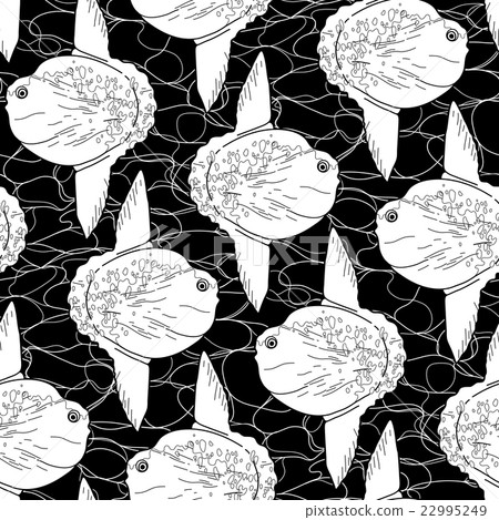 Graphic vector sunfish Graphic vector sunfish 22995249