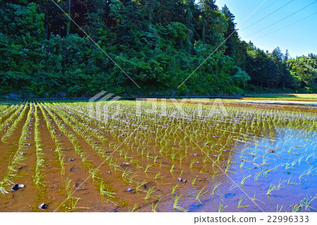 城市鄉村景觀 22996333