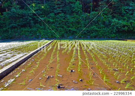 Urban Rural Landscape 22996334