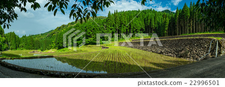 雨後的梯田 雨後的梯田 22996501