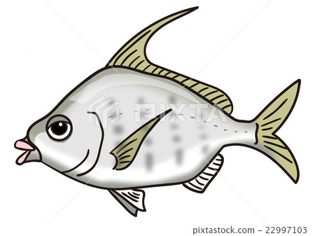 Fish illustration Itohikagi 22997103