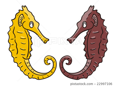 Fish illustration Seahorse Fish illustration Seahorse 22997106