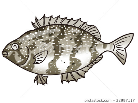 Illustration of a fish Simone fly icon 22997117