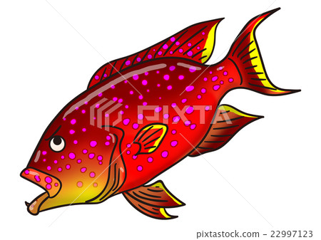 Illustration of fish Barajata 22997123