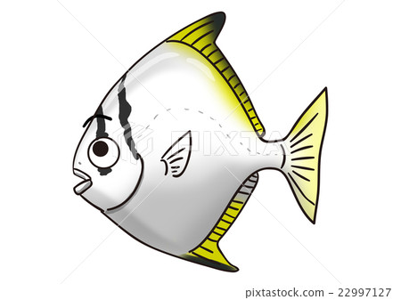 魚鯊魚的飛魚的例證 22997127