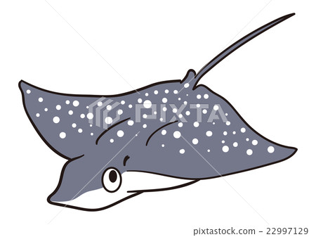 魚Madara Rani的例證 22997129