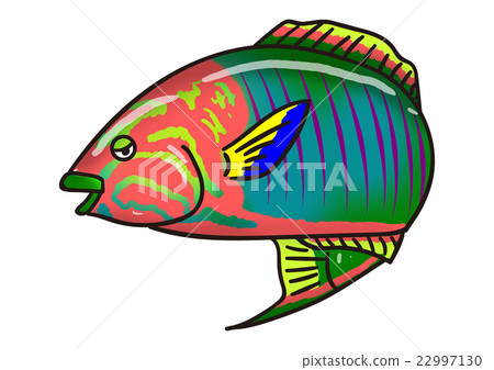魚插圖Yamabuki Kibera 魚插圖Yamabuki Kibera 22997130