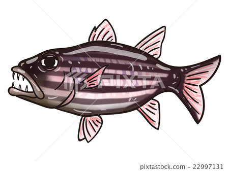 Fish illustration Yaaiiimoshimo Fish illustration Yaaiiimoshimo 22997131