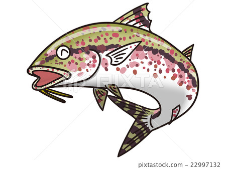 Fish illustration Yomehimeji 22997132